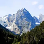 Wollhaus Oberzwirgi By Interhome Prázdninový dům Meiringen