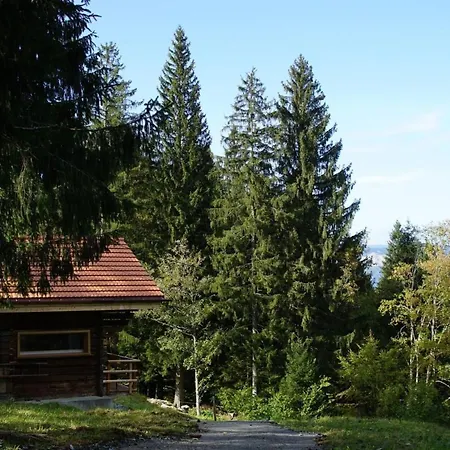 Holiday home Wollhaus Oberzwirgi By Interhome
