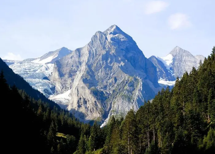 Wollhaus Oberzwirgi By Interhome Holiday home Meiringen